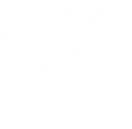 Transit-Freight